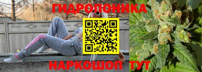 стафф Коммунар