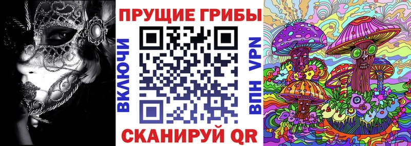 Галлюциногенные грибы прущие грибы Звенигород