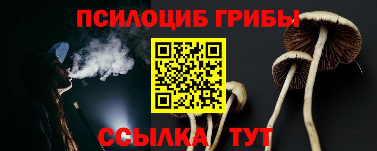 Звенигород  Галлюциногенные грибы мицелий  Вход с VPN  Галлюциногенные грибы ЛСД 